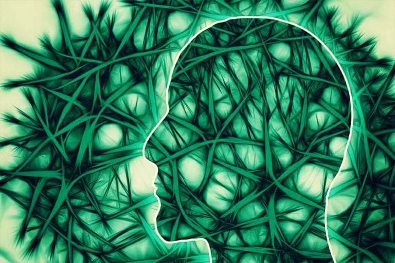 Schematische Darstellung von Gehirn & Nervenbahnen